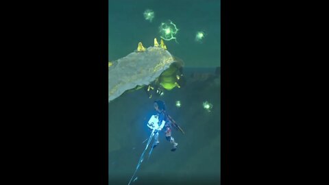 BoTW: Flying with Dragons