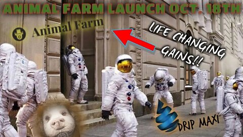 THE BIGGEST NEWS IN DEFI LAUNCHES OCTOBER 18th | ANIMAL FARM YIELD FARMING DROPS IN JUST 3 DAYS!!!