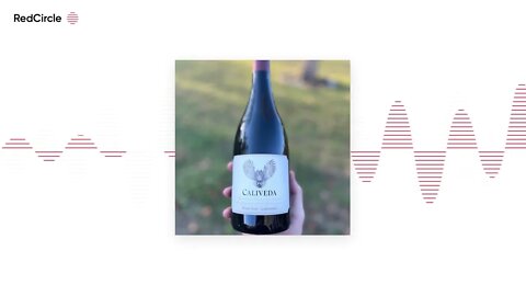 The Nashville Wine Duo Podcast (51) - Season 1 comes to an end, Caliveda Pinot Noir, Disney World an