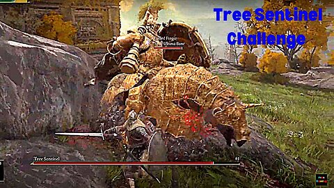 Tree Sentinel Cloud and Pros actual Challenge Elden Ring (part 1)