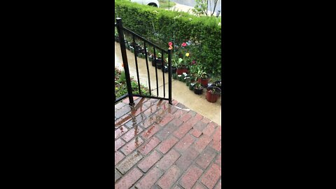 hail is falling with the rain the day before Easter 2022 at Beltsville Maryland USA