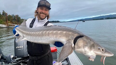 Sturgeon & Salmon OPENERS. Tips & tricks for SUCCESS!!