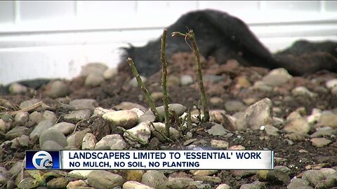 Landscapers limited to 'essential' work, no mulch, no planting