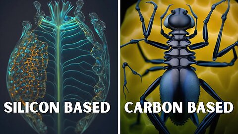 What Are A Carbon Based Lifeform And Why Is It So Important