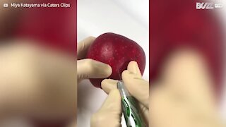 Artista esculpe rostos de celebridades em frutas e legumes