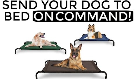 How to train your dog ON COMMAND- The easiest dog training process