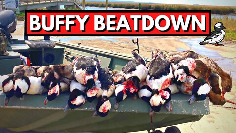 Bufflehead Beatdown on the Georgia Coast (*Tybee Island)