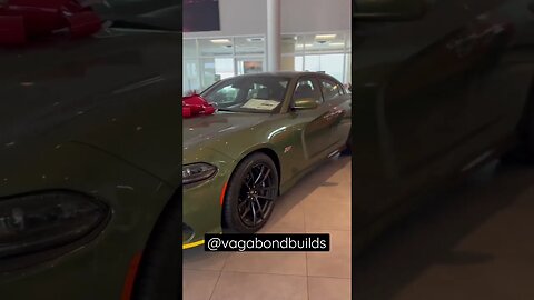 Check us out for reviews. Green or orange! #vagabondbuilds #newcar #comparison #dodge #dodgecharger