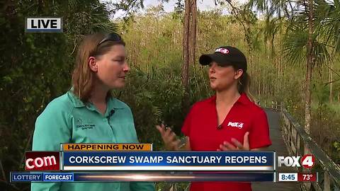 Parts of Corkscrew Swamp Sanctuary reopens after Irma