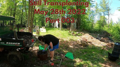 Fishin Camp Life: Still Transplanting - Saturday, May 28th, 2022 - Part 003