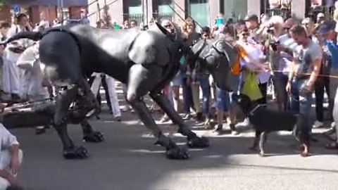 Rottweiler Befriends A Giant Puppet Dog At A Parade