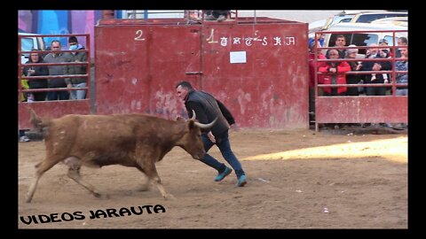 ILLUECA ( ZARAGOZA ) TARDE VACAS EN PLAZA ( SABADO 12 MARZO 2022 ) RAUL IZQUIERDO