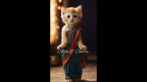 Cat 🐯 beautiful belly dance 🤣