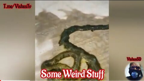 Some Weird Stuff!!! 😳 #VishusTv 📺