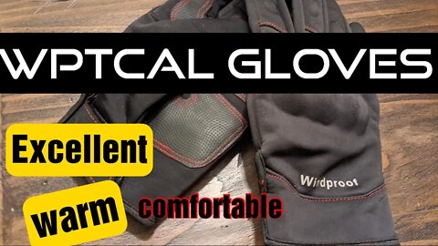 WPTCAL Sports Gloves , https://amzn.to/3FHXshR