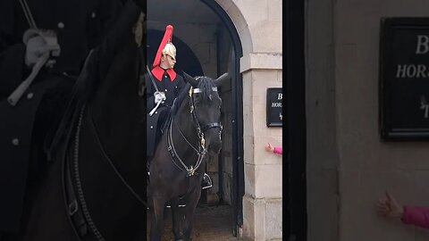 The guard gives her that look #horseguardsparade