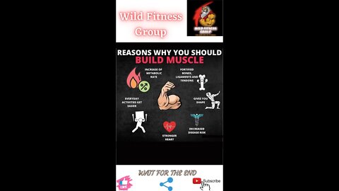 🔥Reasons why you should build muscle🔥#shorts🔥#viralshorts🔥#fitnessshorts🔥#wildfitnessgroup🔥