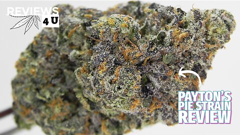 PAYTON'S PIE STRAIN REVIEW | REVIEWS 4 U - ELEPHANT GARDEN