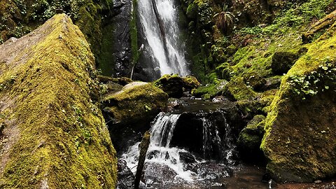 5+ MINUTES OF SOOTHING SILENCE! | Perspectives of Lower Soda Creek Falls! | Cascadia | Oregon | 4K