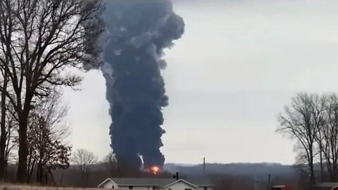 Uma mulher a 16 quilômetros de East Palestine, Ohio, encontrou todas as suas galinhas mortas