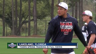 Tigers spring training in full swing