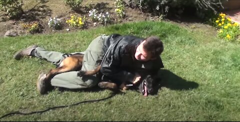 How to defend against an Aggressive Dog! Self defense against dog attack !!