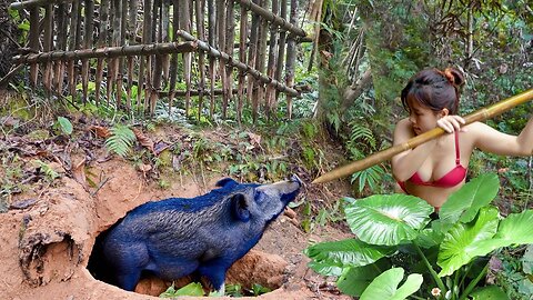 Ambush and Determined to Catch Wild Boar at Night - Bushcraft & Survival | wild forest life