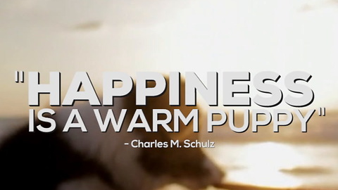 Happiness Is a Warm Puppy