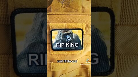 the death of Harambe the gorilla will not be forgotten rip kids ng #shorts #meme #harambe