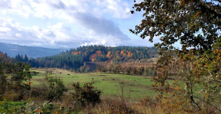 The Howler (Bigfoot) Of Hansen Farm…