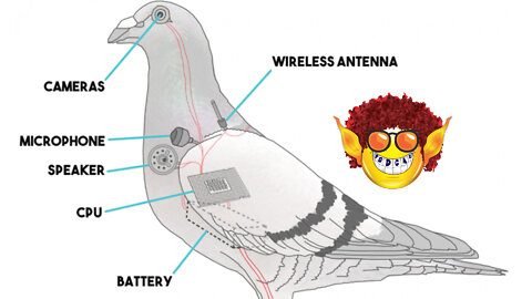 The Birds Aren't Real Conspiracy - DCW Clips