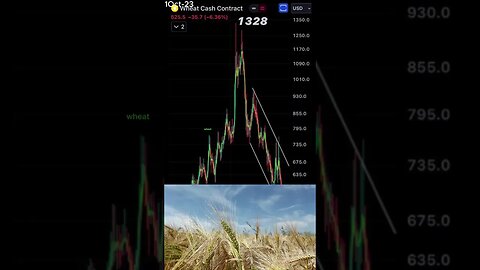 Wheat Market Update: Suppression vs. Opportunity | Expert Insights. October 1, 2023 #shorts