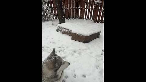 Snow in Boulder