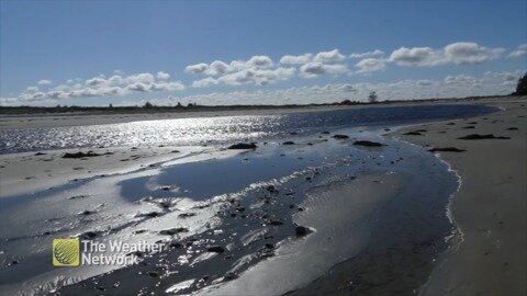 Puffy clouds fill a blue sky as water glistens on the beach