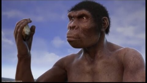 Evolution from ape to man. From Proconsul to Homo heidelbergensis