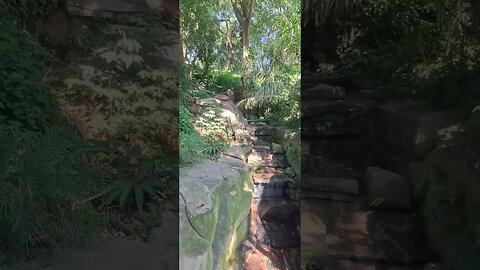 UM PEDAÇO DO PARQUE GUINLE, LARANJEIRAS, RIO DE JANEIRO.🇧🇷