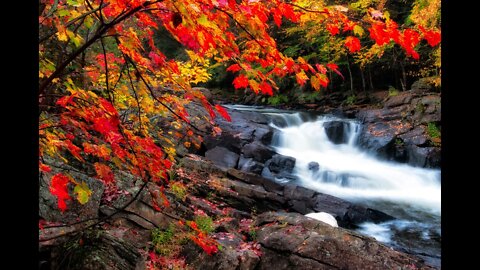 one of the most beautiful things in the world is waterfall, with music then.... 🎶