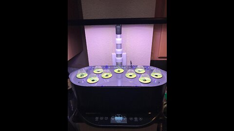 AeroGarden Bounty Elite - Indoor Garden with LED Grow Light, WiFi and Alexa Compatible, Stainle...