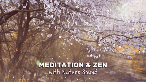 Meditation Zen Relaxation Music with Nature Sound for Sleep, Healing Soothing Calm Ambient