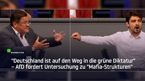 "Deutschland ist auf den Weg in die grüne Diktatur" – AfD fordert Untersuchungsausschuss