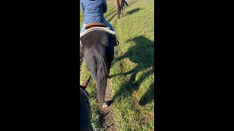 Trail riding in upper Michigan 2022