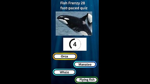 Fish Frenzy 28 A fast-paced quiz