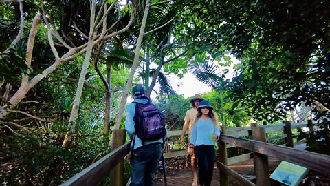 FINGAL HEAD - AUSTRALIA | Exploring The Fingal Head Light Tower