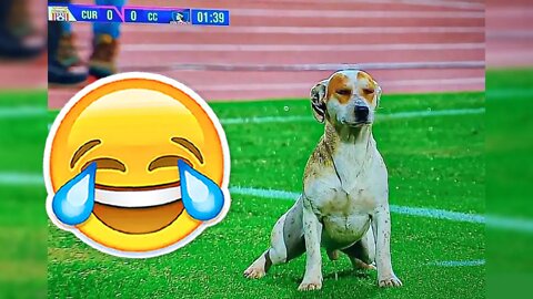 WELCOME TO COPA LIBERTADORES 🤣🐶