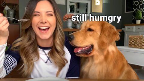 My Dog Reacts to the Invisible Food Challenge