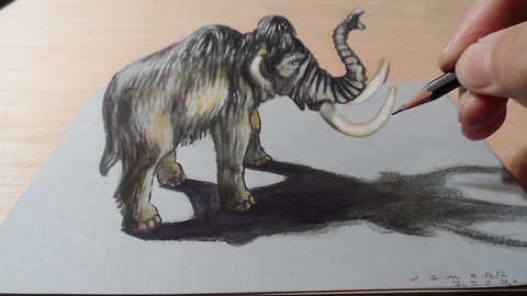 How to draw a 3D mammoth