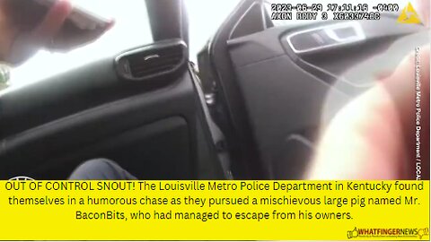 OUT OF CONTROL SNOUT! The Louisville Metro Police Department in Kentucky found