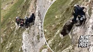 'Ewe' gotta see this one-handed sheep rescue