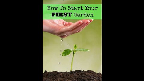 Best Advice for first time Gardeners!