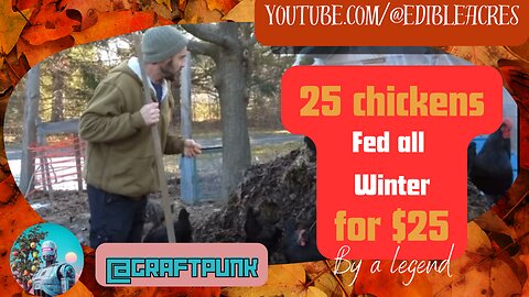 This legend spends $25 to feed $25 chickens for an entire Winter.